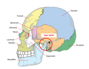 TMD is a pain syndrome of the jaw joint