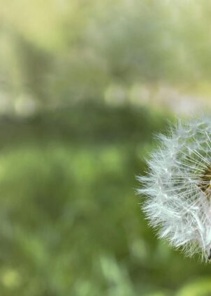 seasonal allergies and allergy headaches