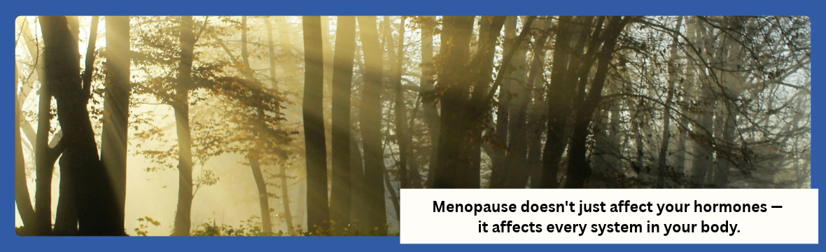 image of forest to represent menopause as a natural transition